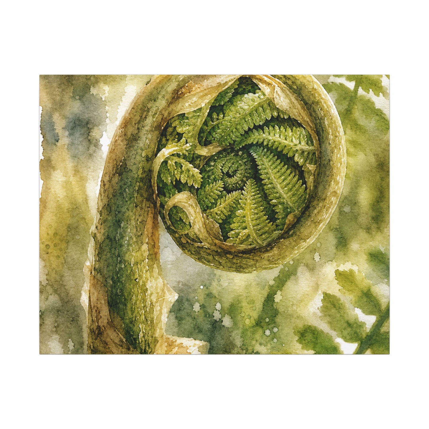 Japandi Fern Unfurling in Dappled | Watercolor Canvas Art
