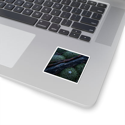 Luxurious Moss Close Up Sticker - Moody Minimal Dark Japandi