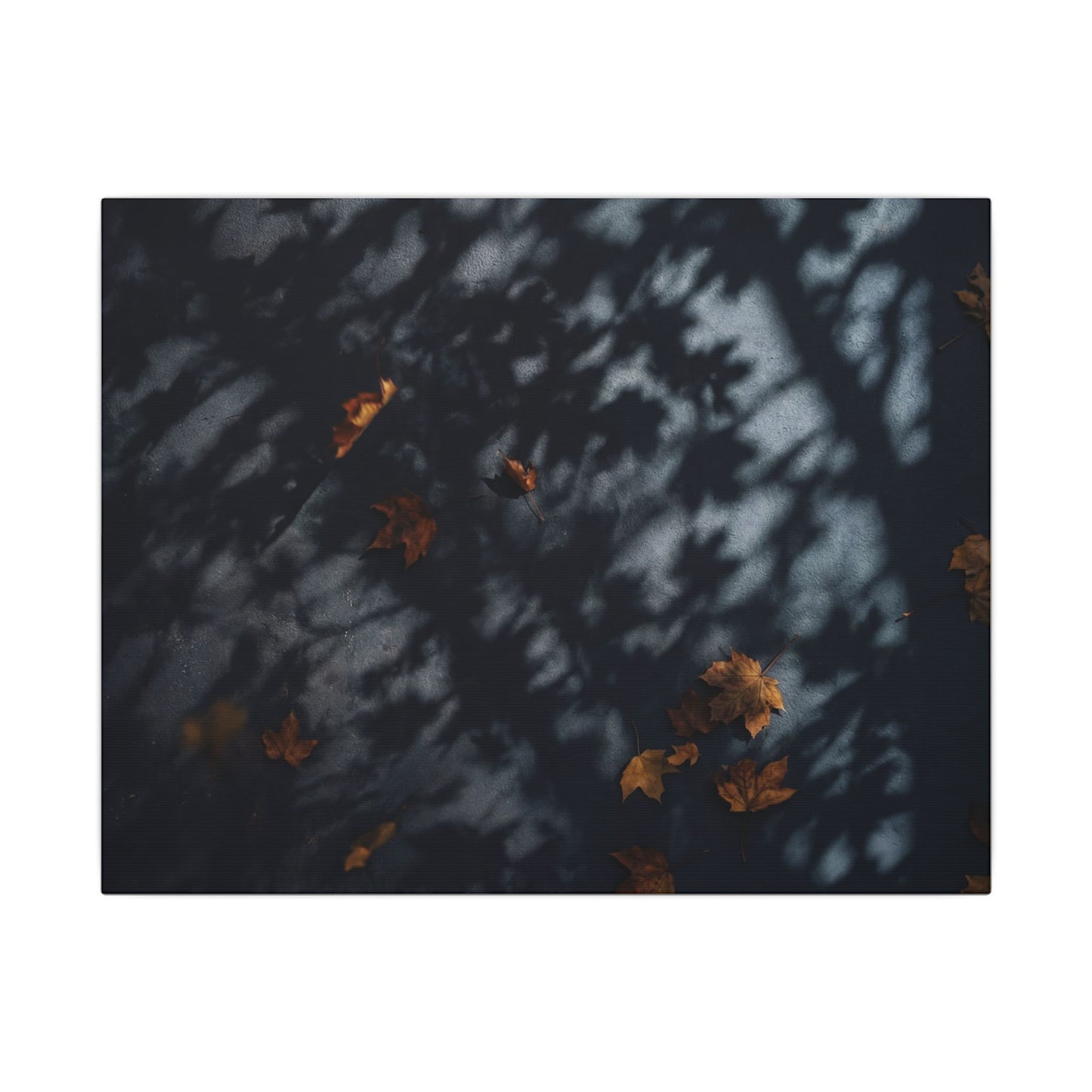Autumn Shadow Play Shadow Zen Canvas Art | Atmospheric Decor Art Print