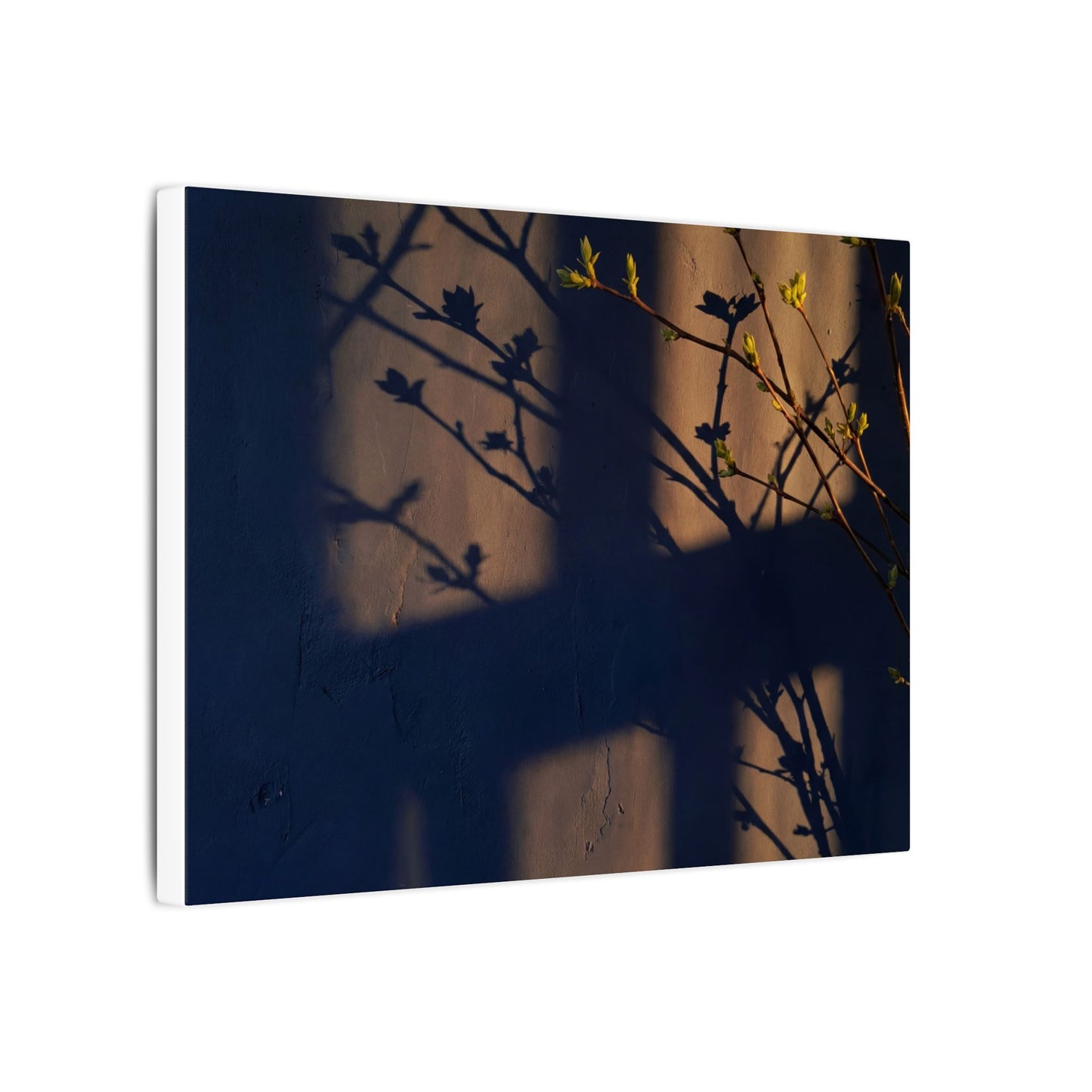 Shadow Play Canvas Art | Spring Dark Japandi Shadow Zen Art