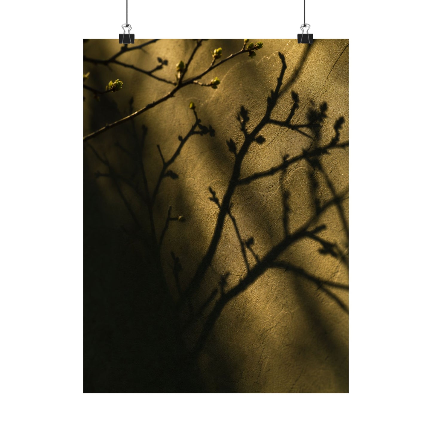Golden Hour Shadow Play Wall Art Print - Dark Japandi Seijaku