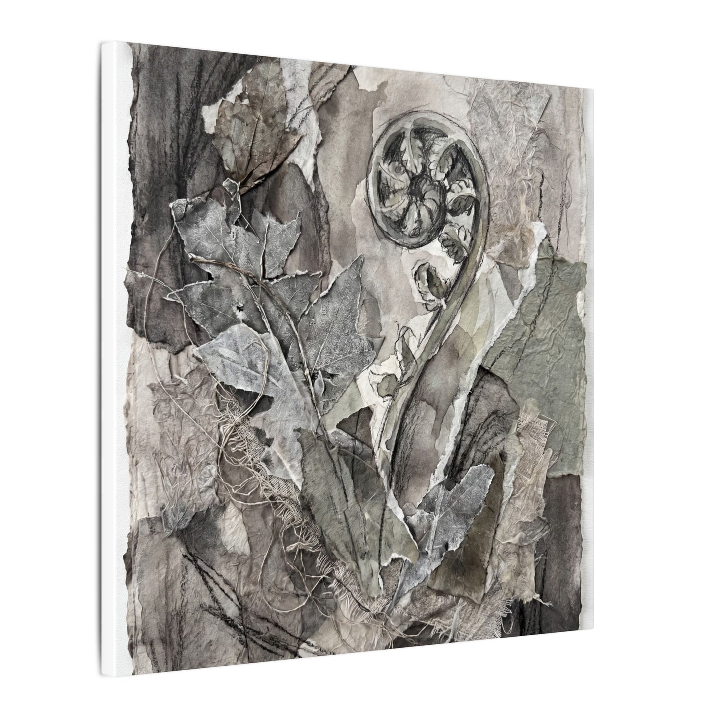 Japandi Fern Unfurling in Overcast | Texture Canvas Art