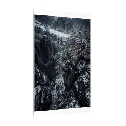 Dark Japandi Pine Tree in Dappled | Dark Texture Canvas Art