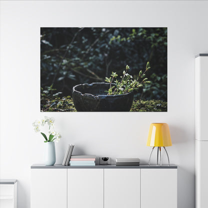 Dappled Ceramic Bowl Canvas Art - Dark Japandi Datsuzoku