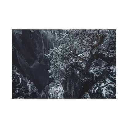 Dark Japandi Pine Tree in Dappled | Dark Texture Canvas Art Art Print