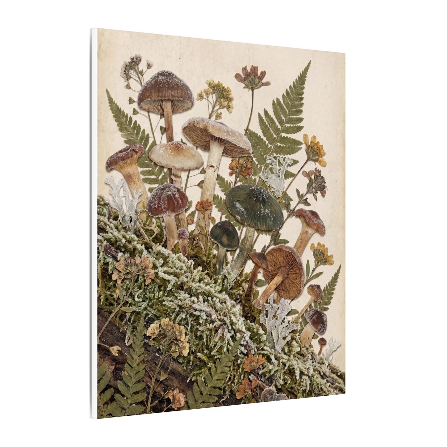 Winter Wild Mushrooms Herbarium Canvas Art | Enchanting Decor