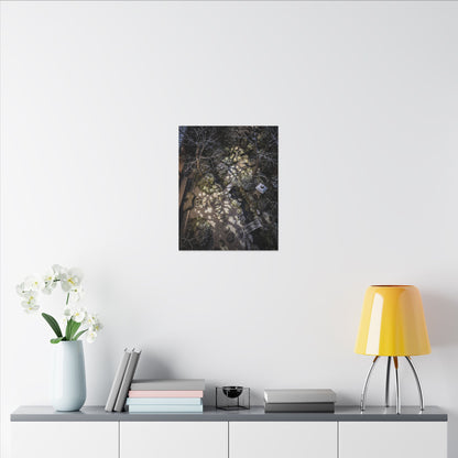 Moonlit Garden Japanese Pattern Canvas Art | Elegant Japandi Art