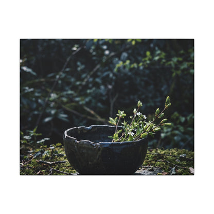 Dappled Ceramic Bowl Canvas Art - Dark Japandi Datsuzoku