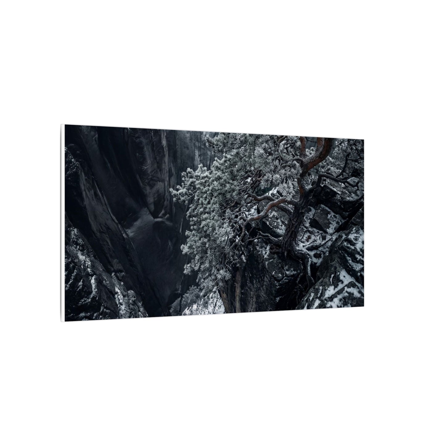 Dark Japandi Pine Tree in Dappled | Dark Texture Canvas Art