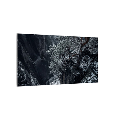 Dark Japandi Pine Tree in Dappled | Dark Texture Canvas Art