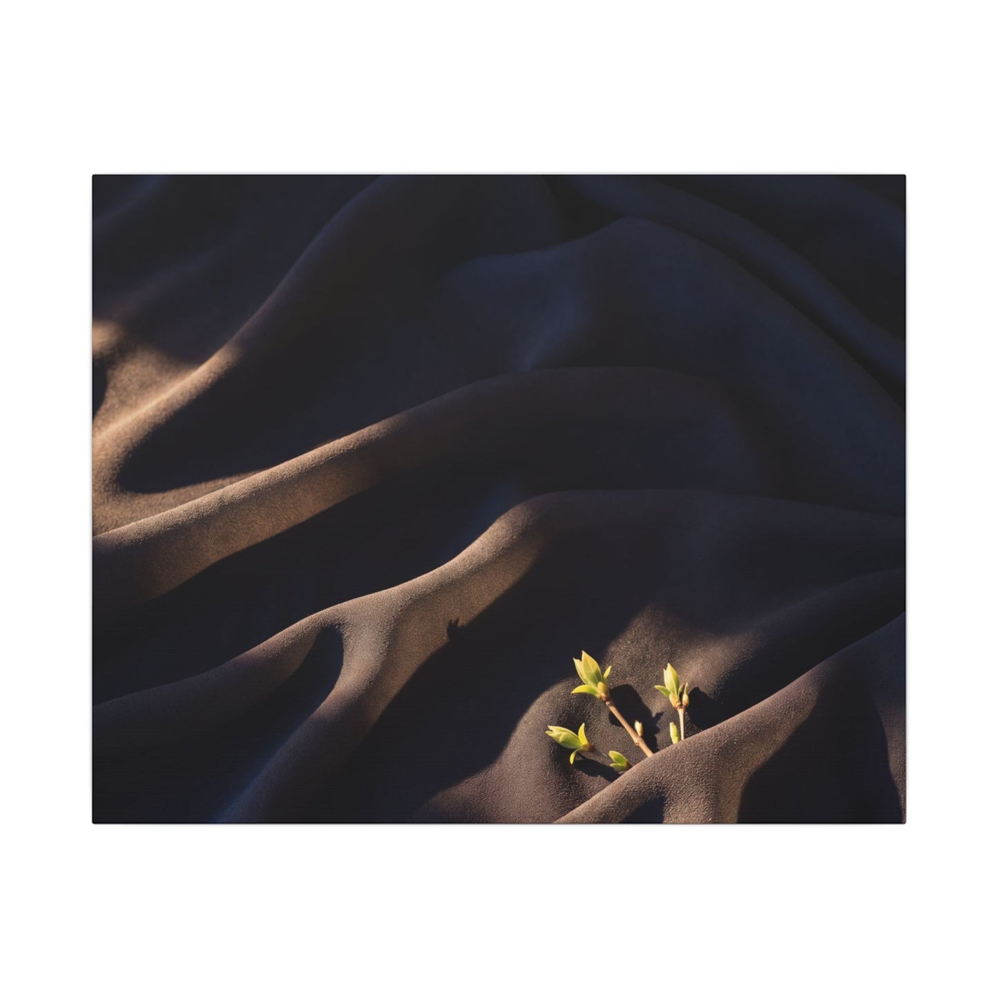 Silk Drape Shadow Zen Canvas Art | Luxurious Dark Japandi Art Art Print