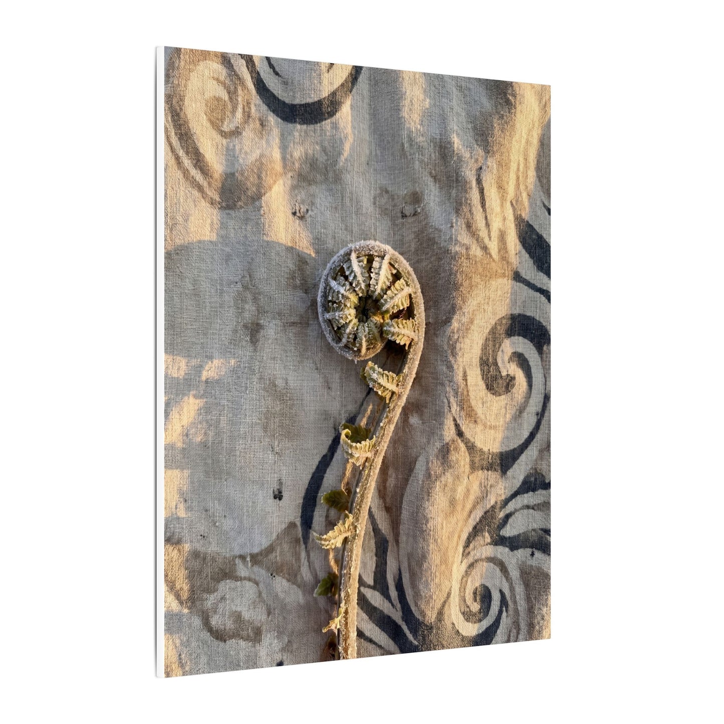 Fern Unfurling Canvas Art | Winter Japandi Japanese Pattern Art