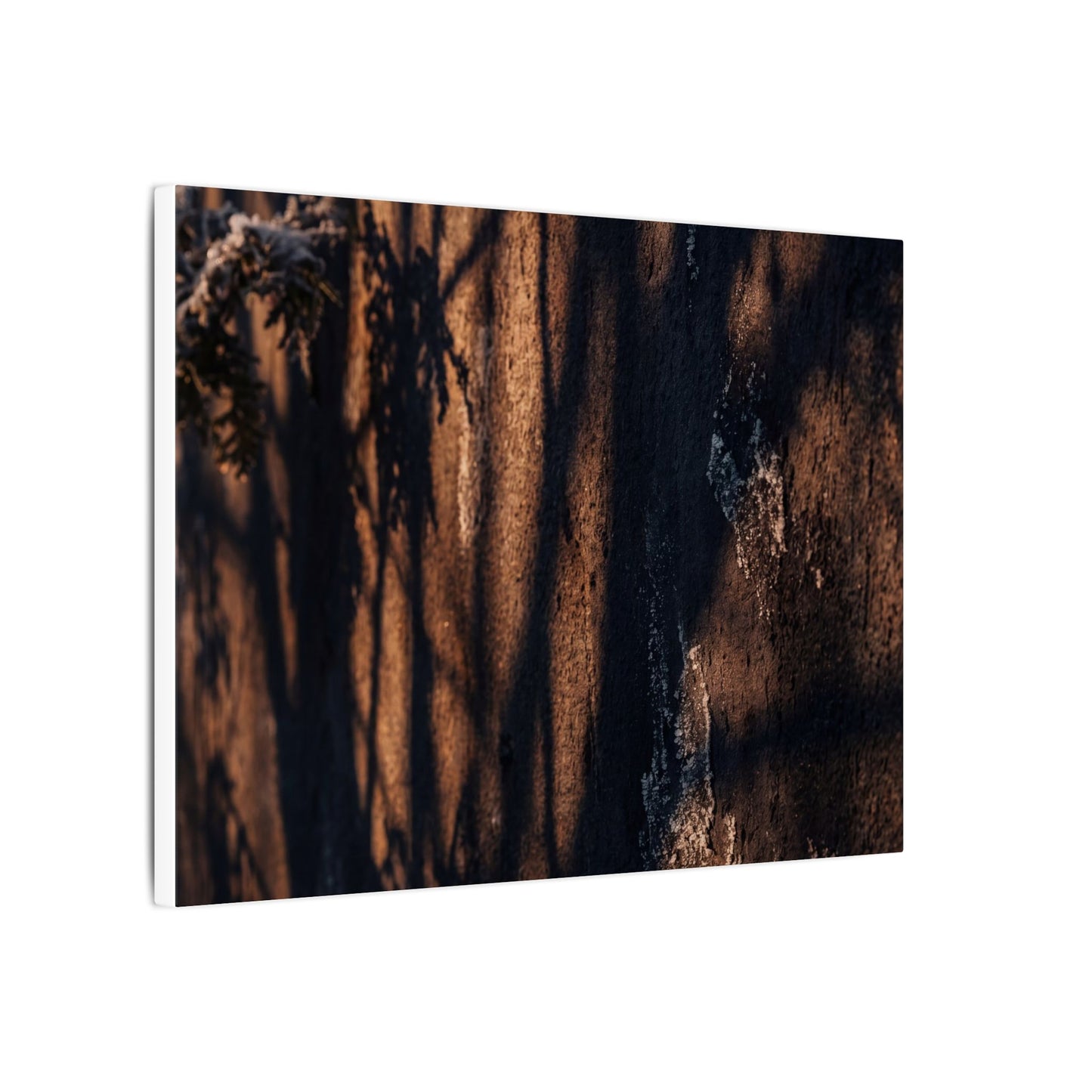 Golden Hour Shadow Play Canvas Art - Dark Japandi Fukinsei