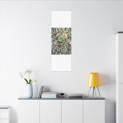 Fern Unfurling Spring Canvas Art | Japandi Neutral Design