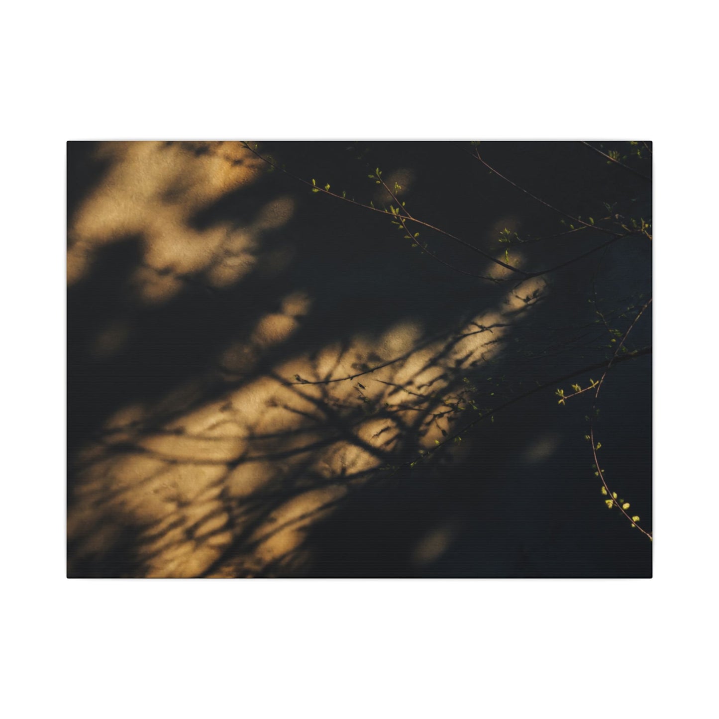 Moody Shadow Play Canvas Art - Moody Minimal Dark Japandi
