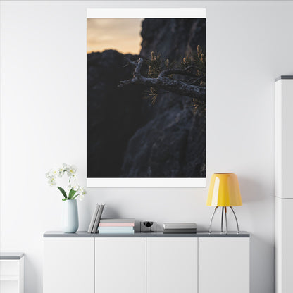 Pine Tree Moody Minimal Canvas Art | Sophisticated Dark Japandi Art