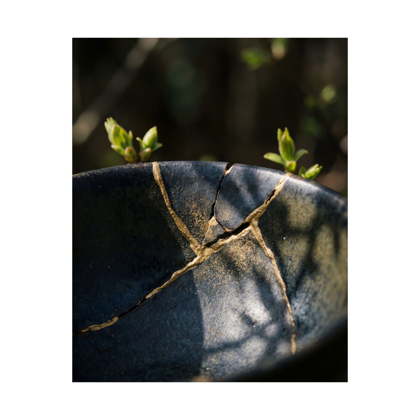 Spring Broken Pottery Shadow Zen Wall Art Print | Moody Decor
