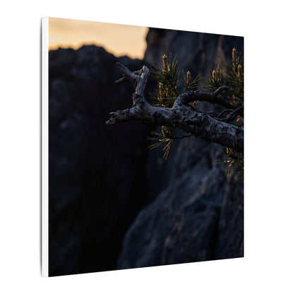 Pine Tree Moody Minimal Canvas Art | Sophisticated Dark Japandi Art