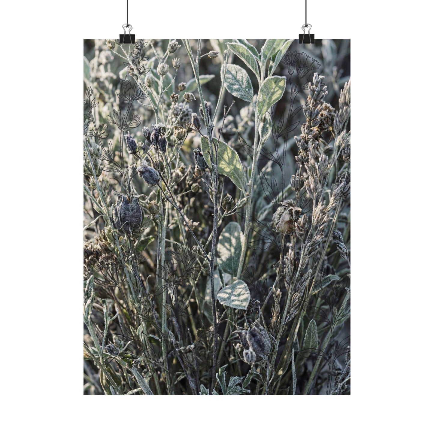 Dried Flowers Winter Wall Art Print | Japandi Neutral Design Art Print