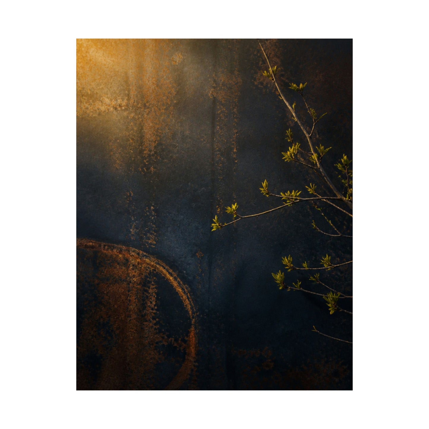Golden Hour Rust Patina Wall Art Print - Dark Japandi Ma