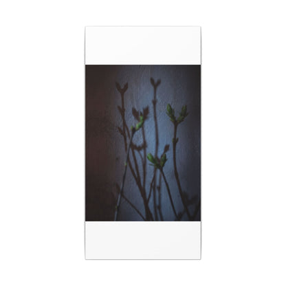 Shadow Play Spring Canvas Art | Dark Japandi Sophisticated Design