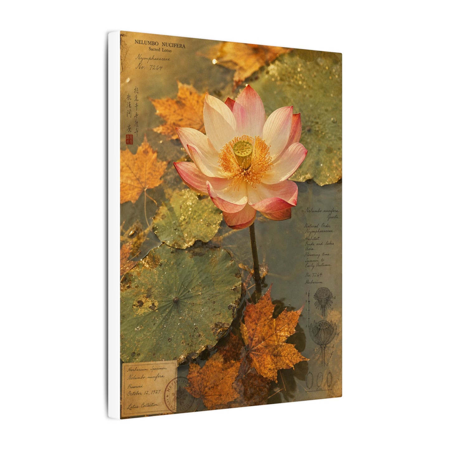 Autumn Lotus Flower Herbarium Canvas Art | Rustic Decor