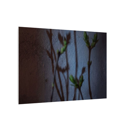 Shadow Play Spring Canvas Art | Dark Japandi Sophisticated Design