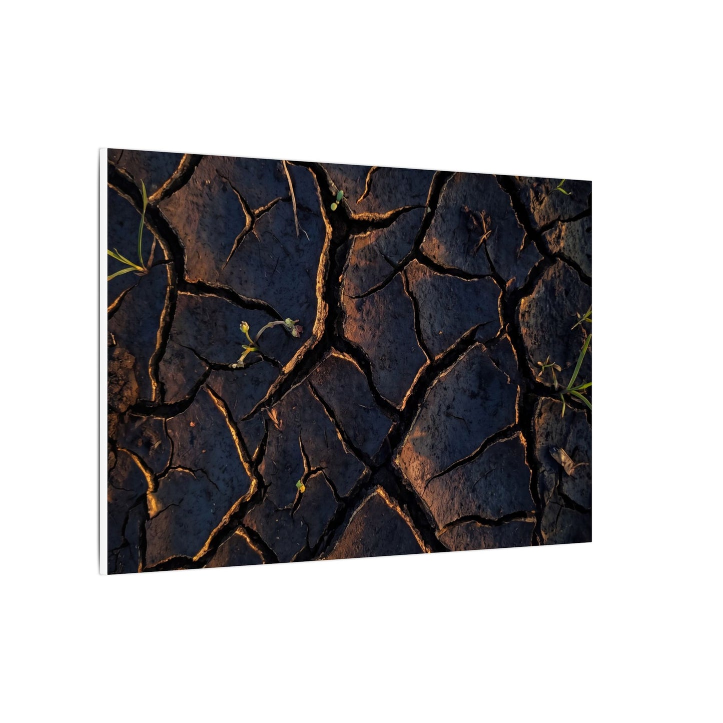 Cracked Earth Moody Minimal Canvas Art | Luxurious Dark Japandi Art