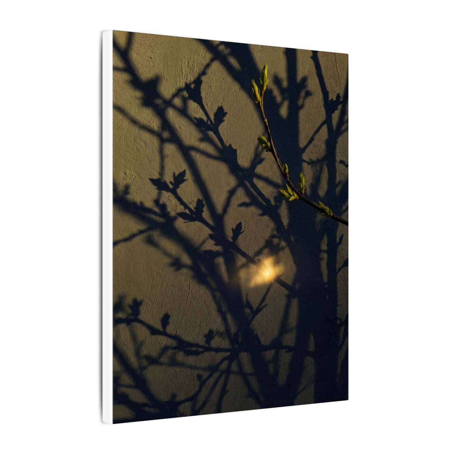 Bold Shadow Play Canvas Art - Moody Minimal Dark Japandi