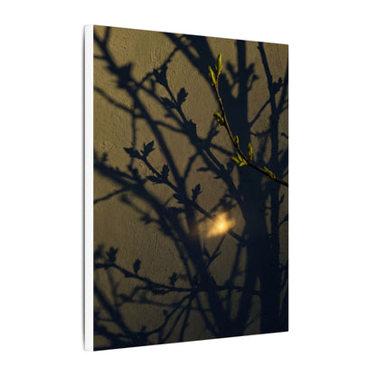 Bold Shadow Play Canvas Art - Moody Minimal Dark Japandi