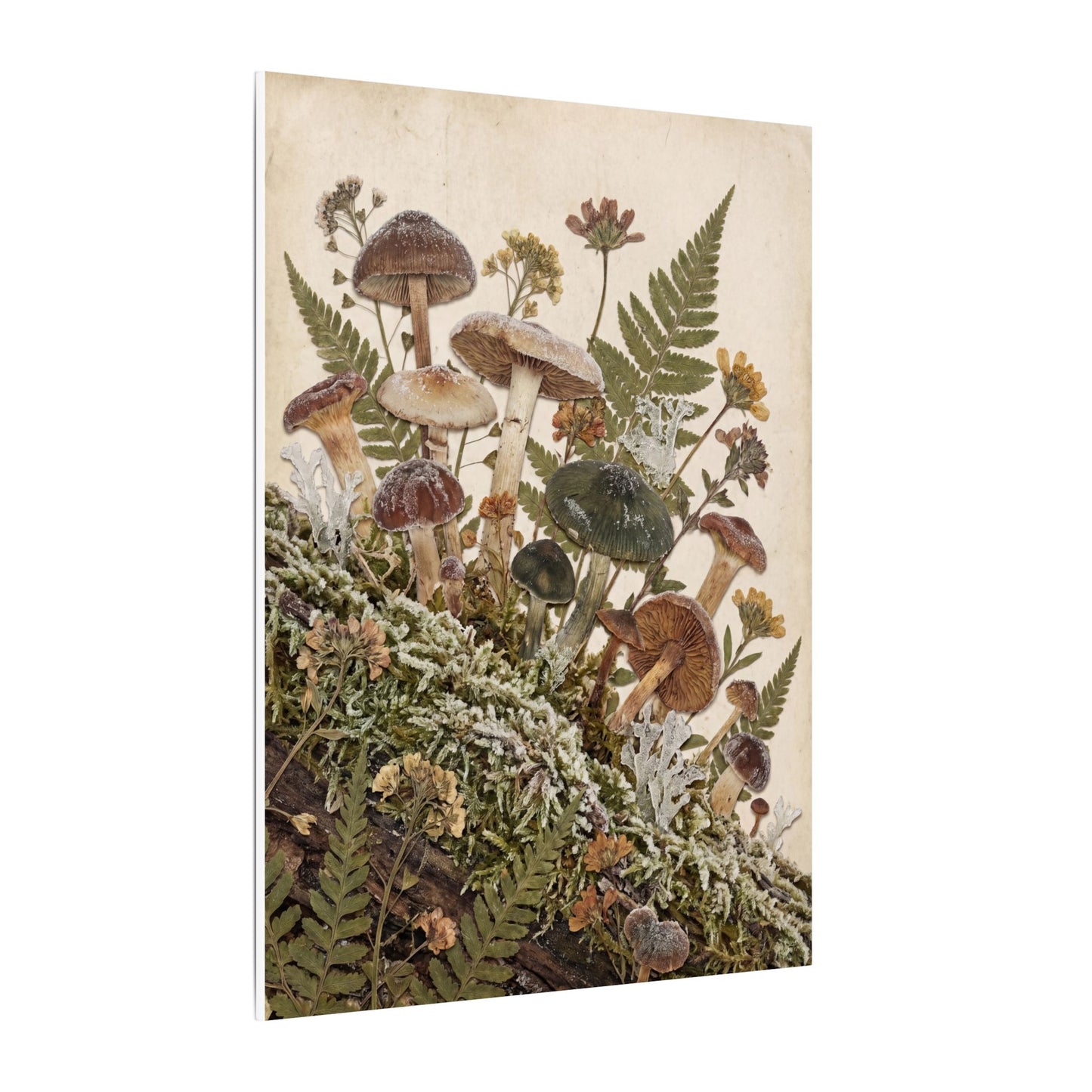Winter Wild Mushrooms Herbarium Canvas Art | Enchanting Decor