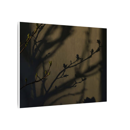 Seijaku Shadow Play Canvas Art - Dark Japandi Charcoal Ink