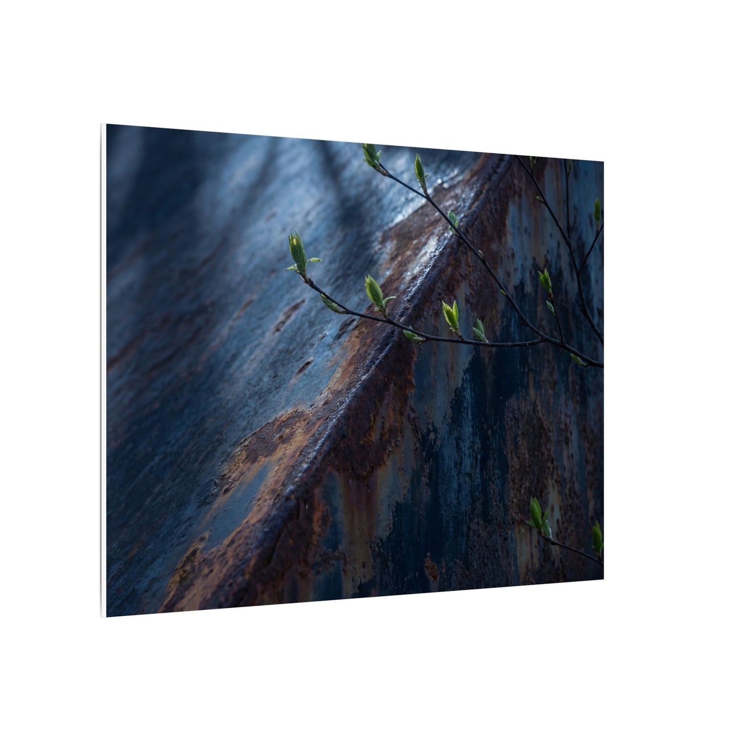 Rust Patina Canvas Art | Spring Dark Japandi Shadow Zen Art