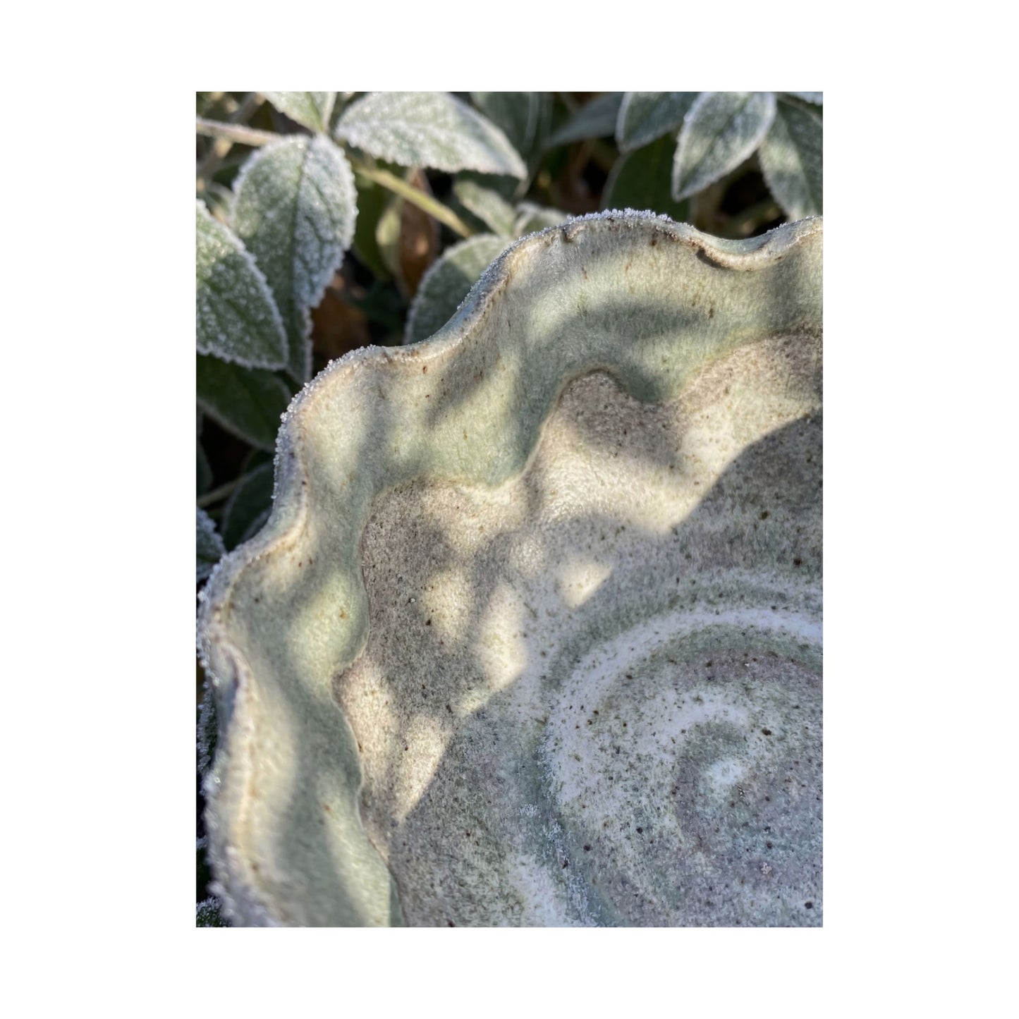 Neutral Ceramic Bowl Wall Art Print - Minimal Line Japandi