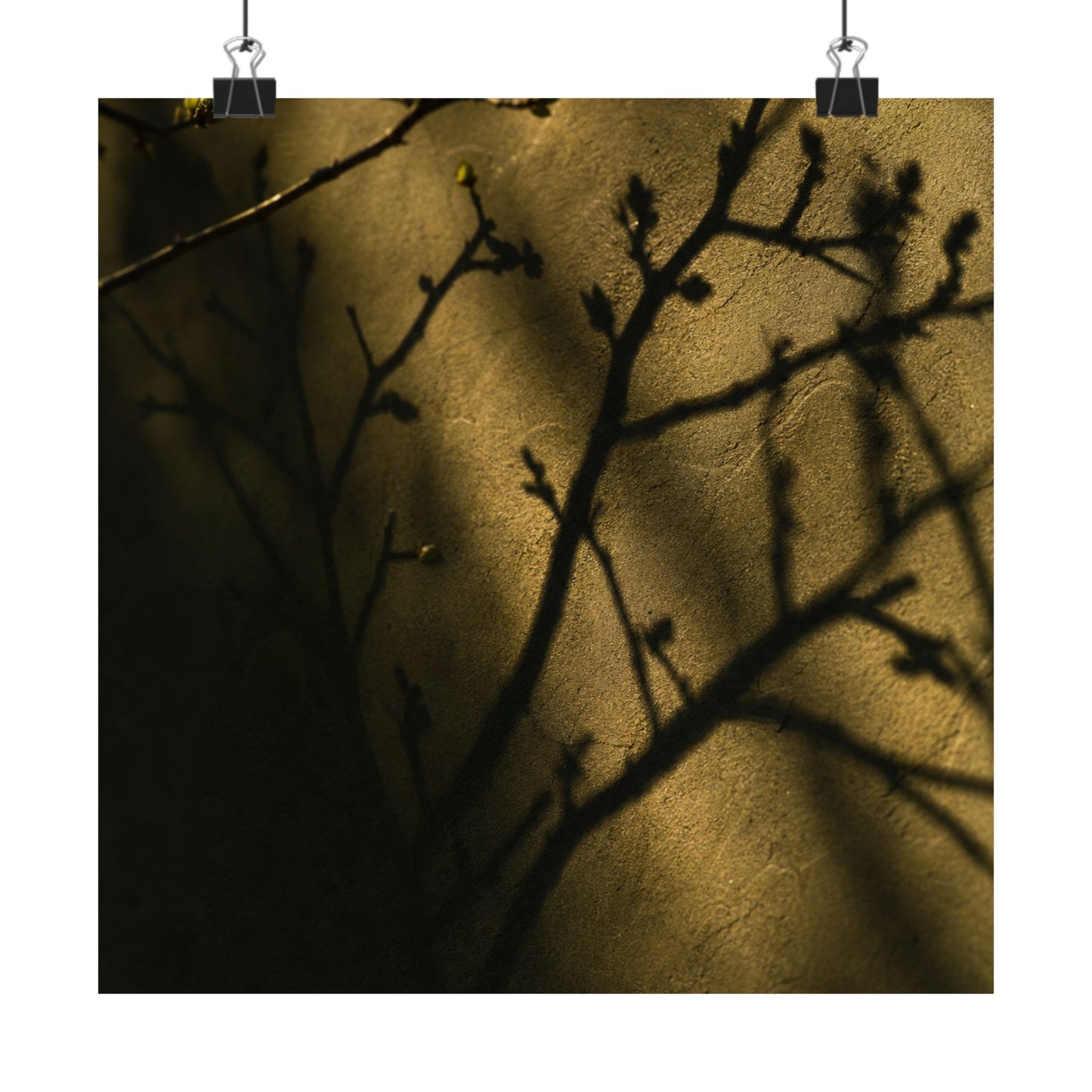 Golden Hour Shadow Play Wall Art Print - Dark Japandi Seijaku