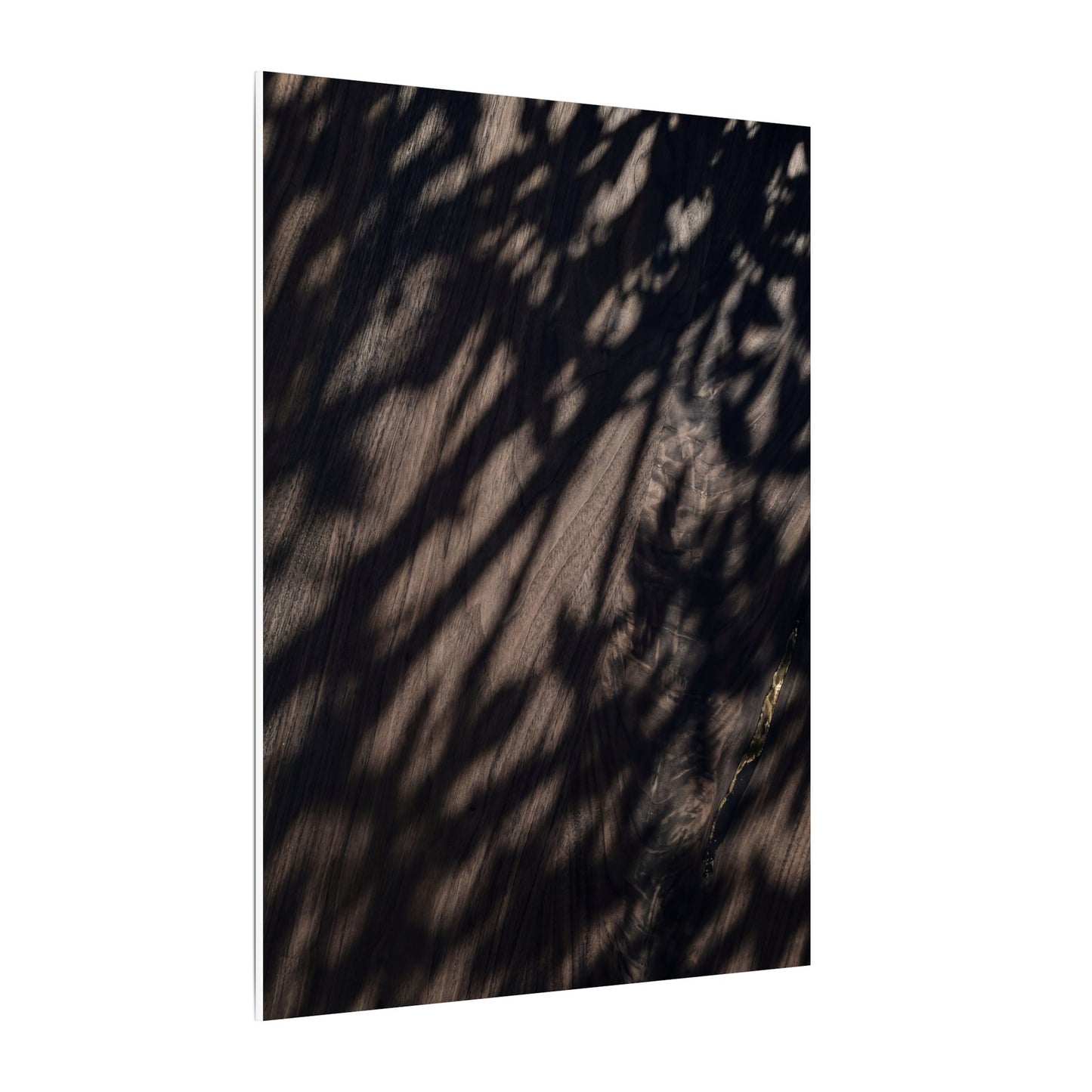 Shadow Play Summer Canvas Art | Dark Japandi Moody Design