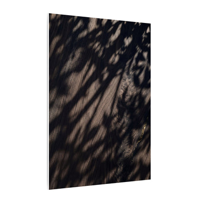 Shadow Play Summer Canvas Art | Dark Japandi Moody Design