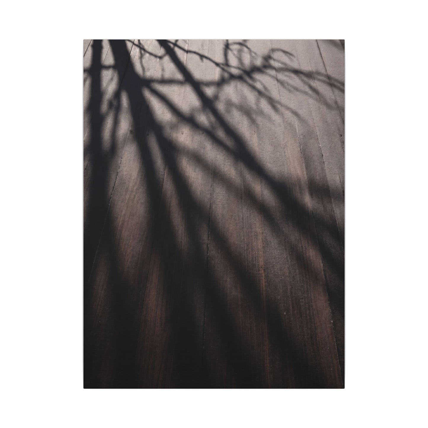 Dark Japandi Shadow Play in Dawn | Moody Minimal Canvas Art