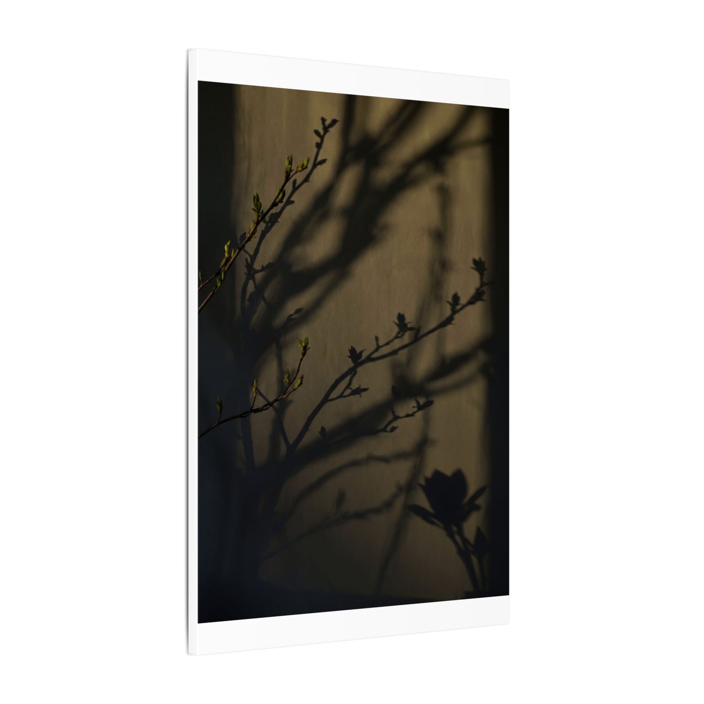 Seijaku Shadow Play Canvas Art - Dark Japandi Charcoal Ink