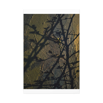 Kanso Shadow Play Canvas Art - Dark Japandi Dark Texture