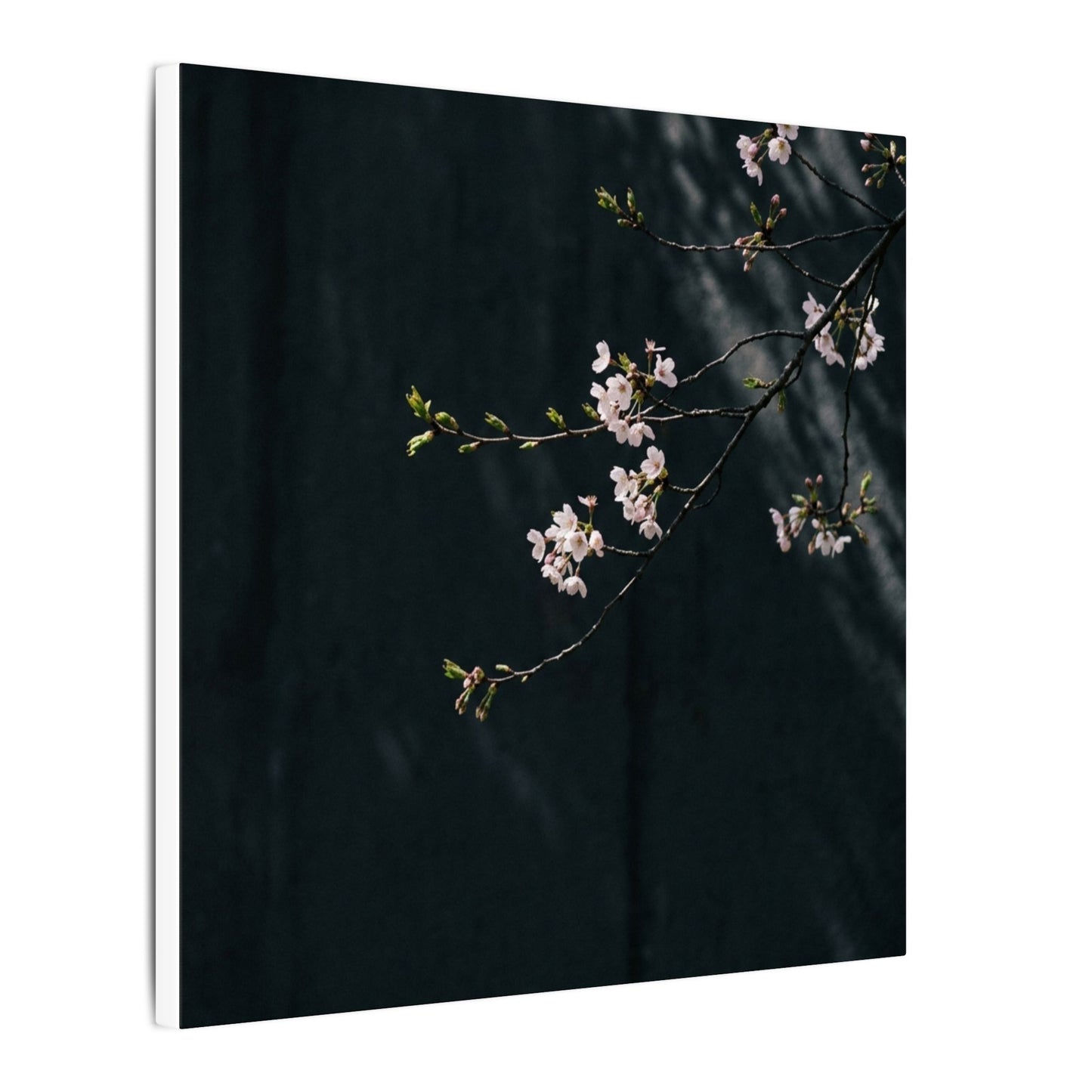 Cherry Blossom Spring Canvas Art | Dark Japandi Sophisticated Design