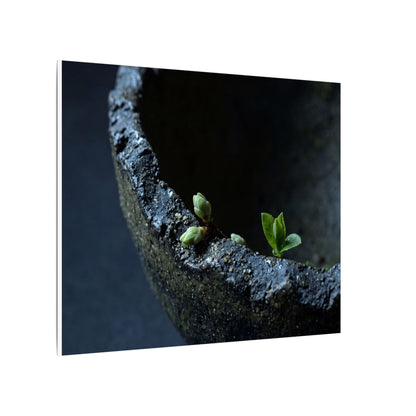 Dark Japandi Ceramic Bowl in Moonlight | Moody Minimal Canvas Art