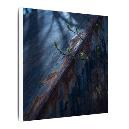 Rust Patina Canvas Art | Spring Dark Japandi Shadow Zen Art