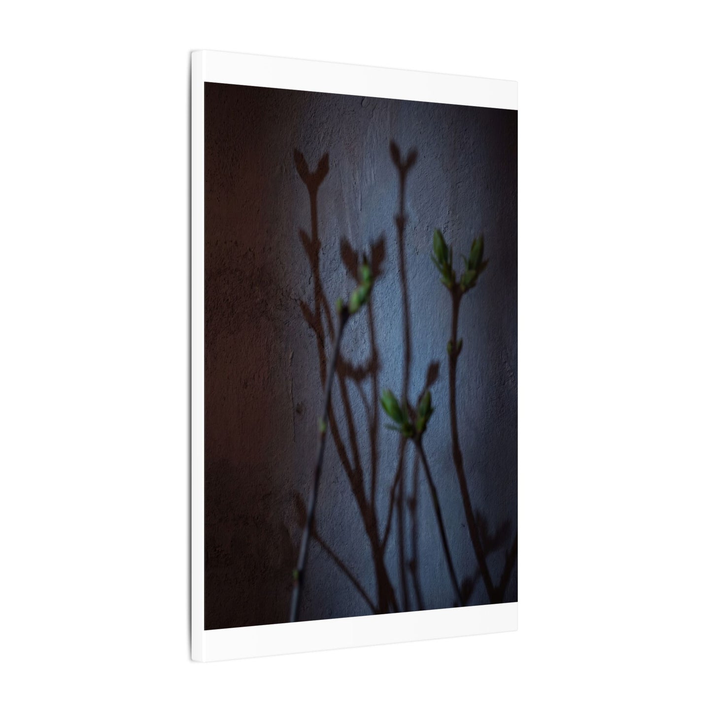 Shadow Play Spring Canvas Art | Dark Japandi Sophisticated Design