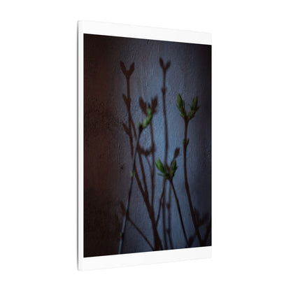 Shadow Play Spring Canvas Art | Dark Japandi Sophisticated Design