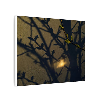 Bold Shadow Play Canvas Art - Moody Minimal Dark Japandi