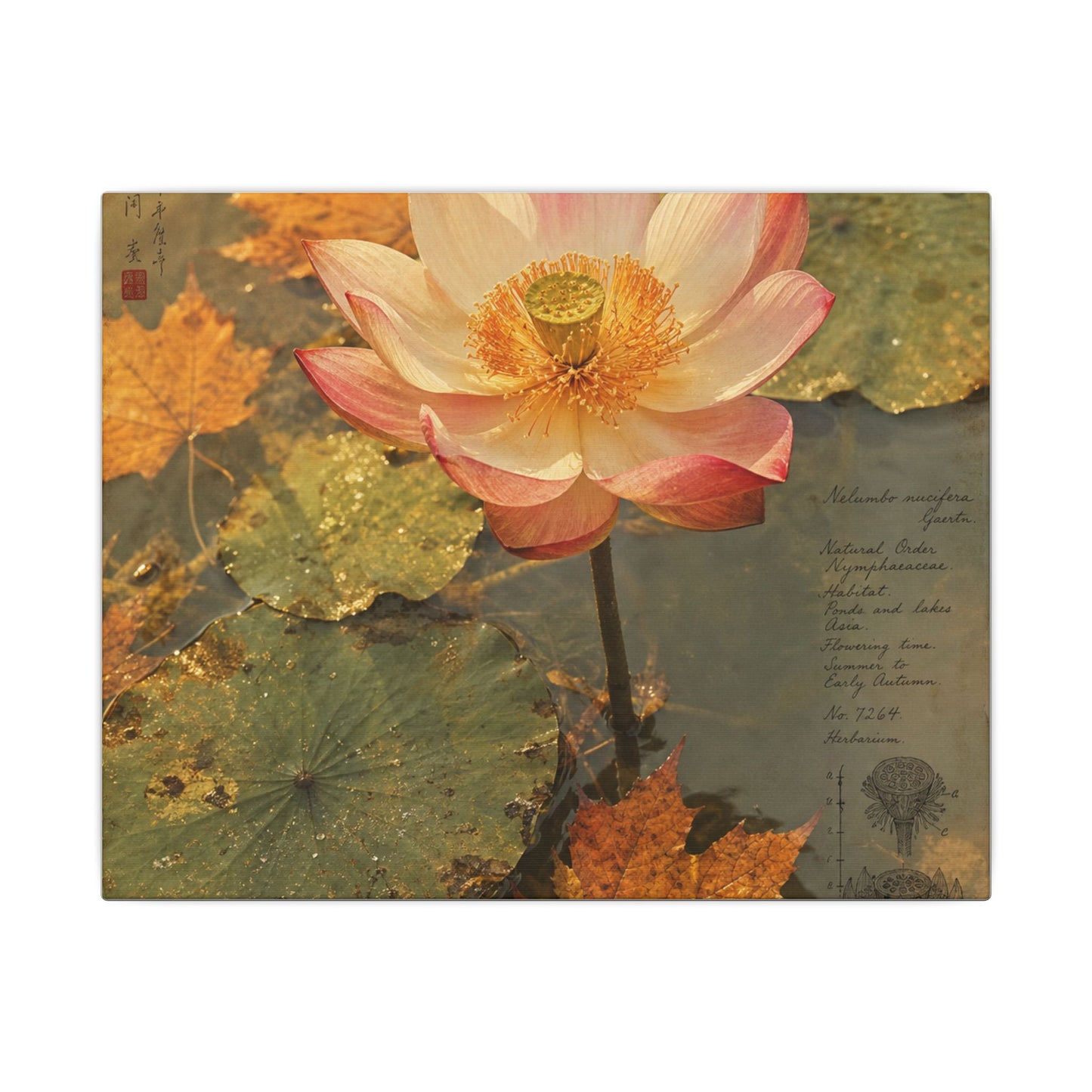Autumn Lotus Flower Herbarium Canvas Art | Rustic Decor