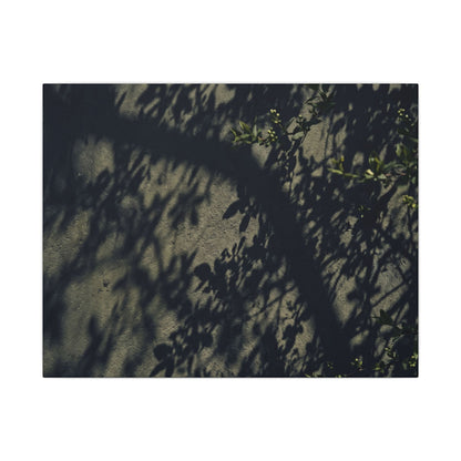 Atmospheric Shadow Play Canvas Art - Moody Minimal Dark Japandi
