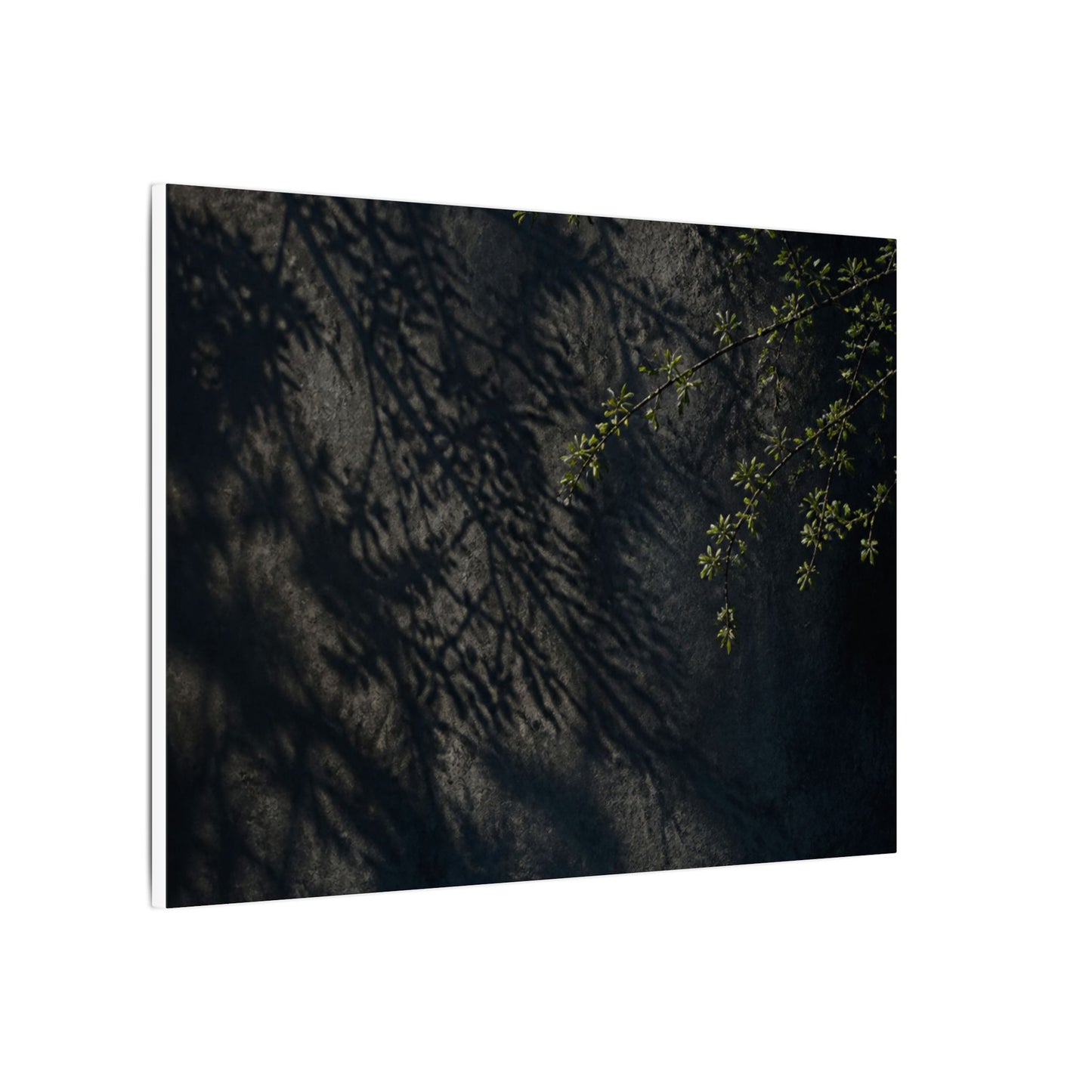 Overcast Shadow Play Canvas Art - Dark Japandi Seijaku