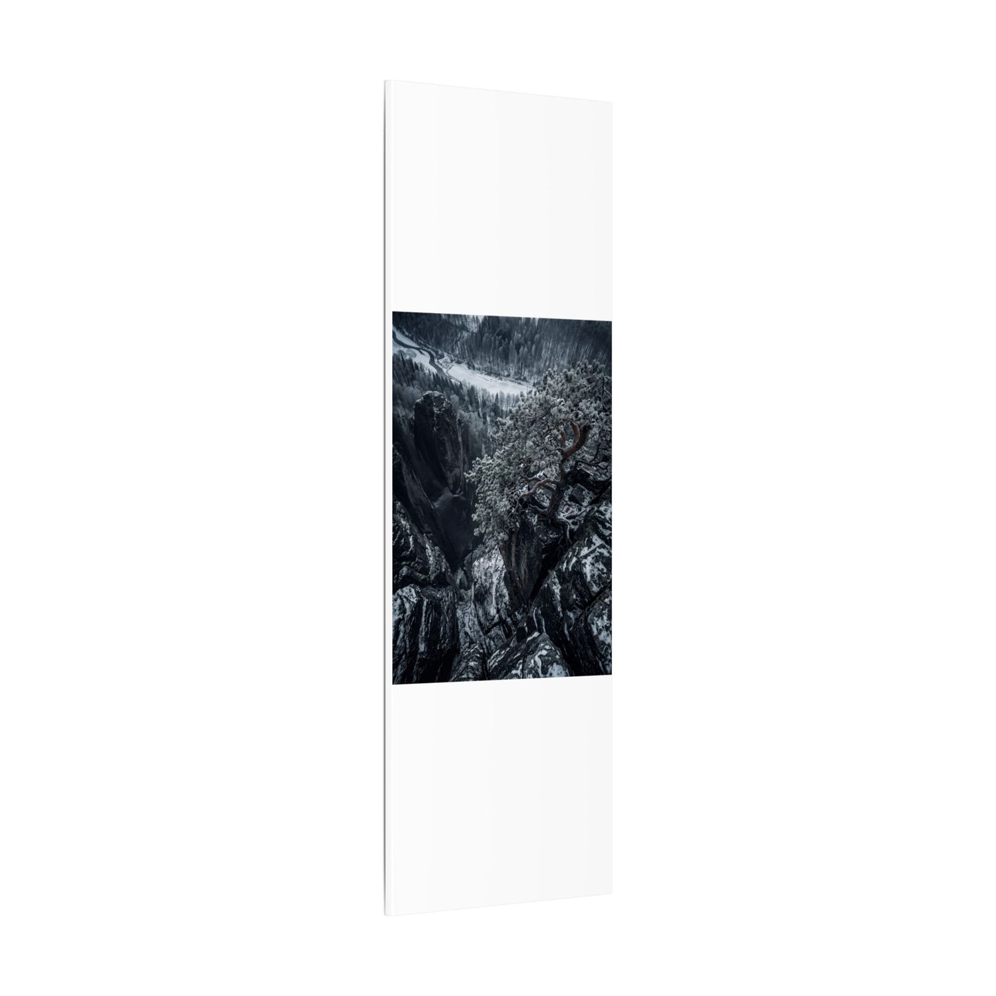 Dark Japandi Pine Tree in Dappled | Dark Texture Canvas Art